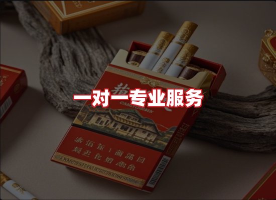 专业团队